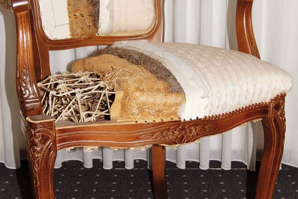 WhatsApp Image 2026-02-07 at 18.39.16